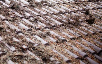 Rhydowen roof cleaning companies