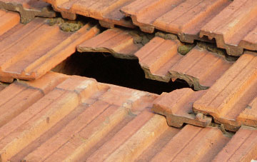 roof repair Rhydowen