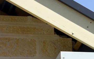 soffit repair Rhydowen